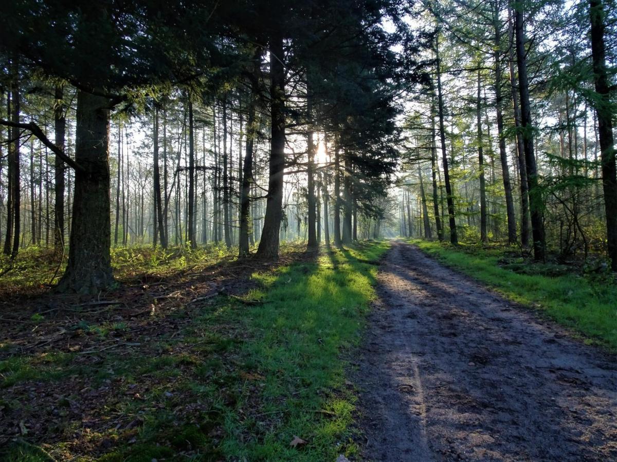 Veluwe Park Reewold Chalet Infinity Putten Bagian luar foto