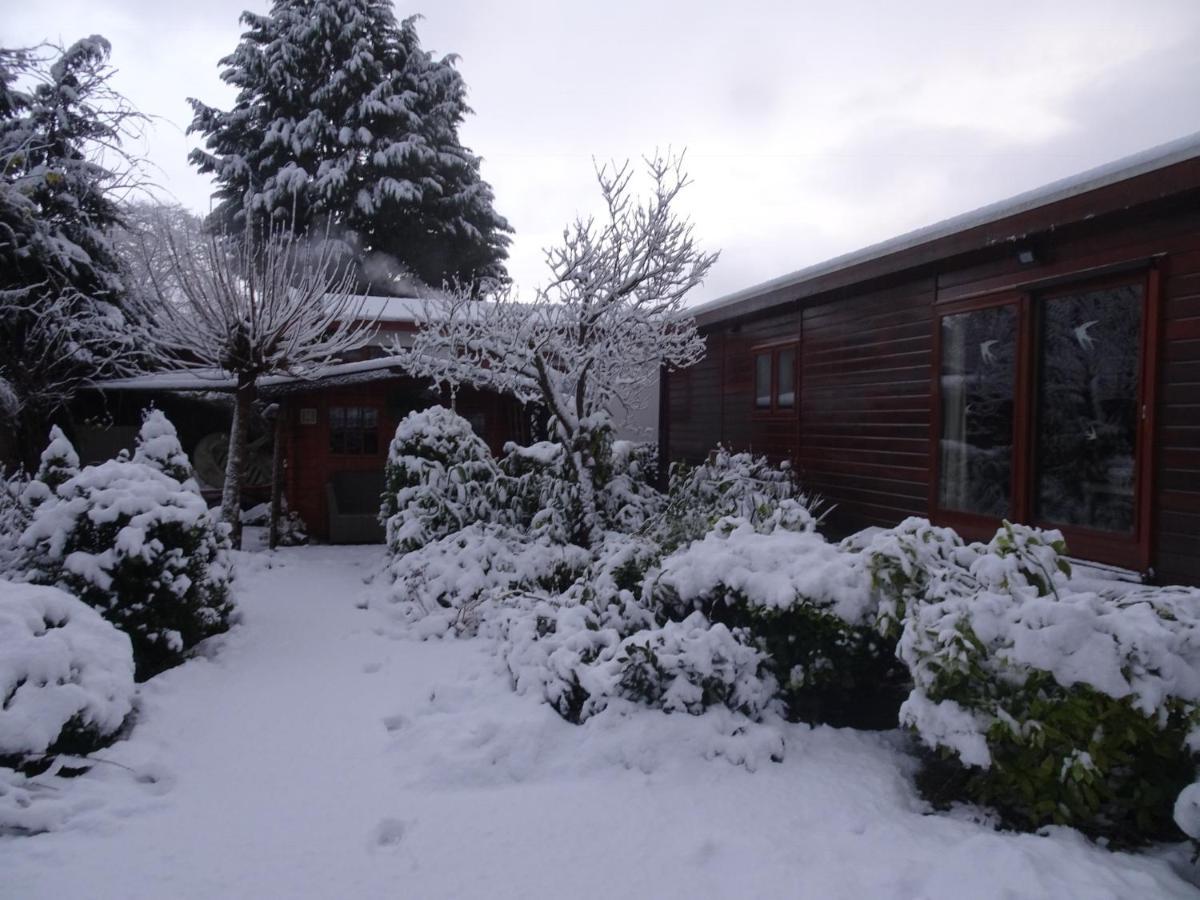 Veluwe Park Reewold Chalet Infinity Putten Bagian luar foto